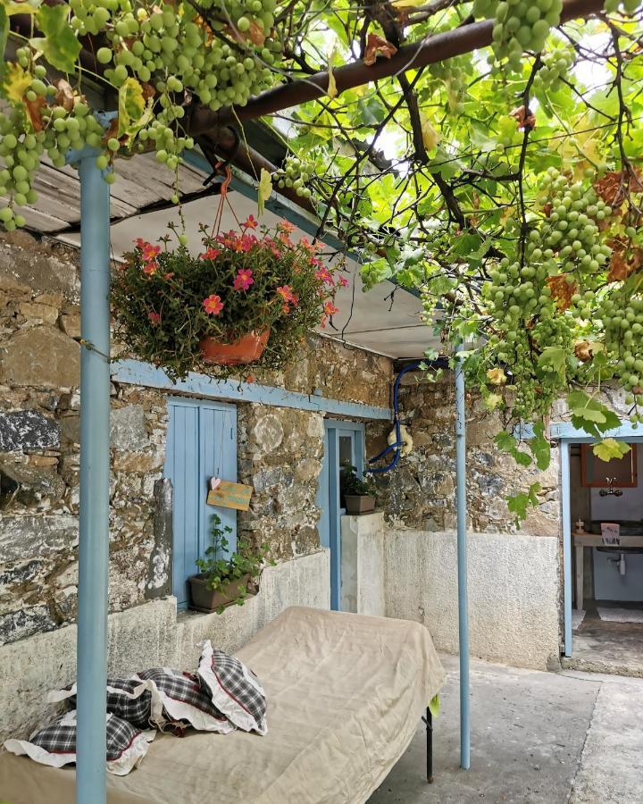 Holiday House Prodromos Exteriér fotografie